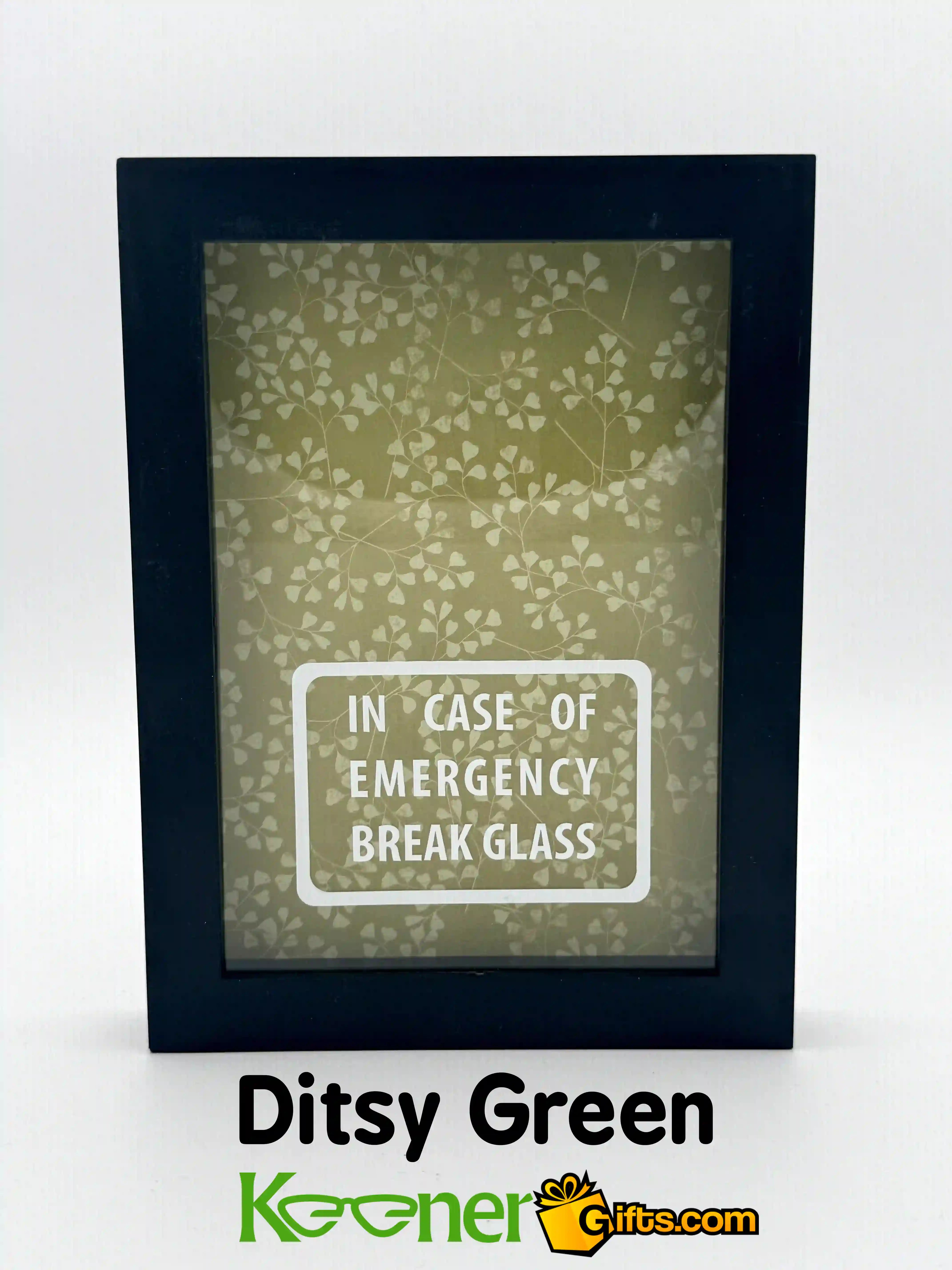 In Case of Emergency Break Glass Shadow Box Black Frame, Empty. Ditsy Green Background.