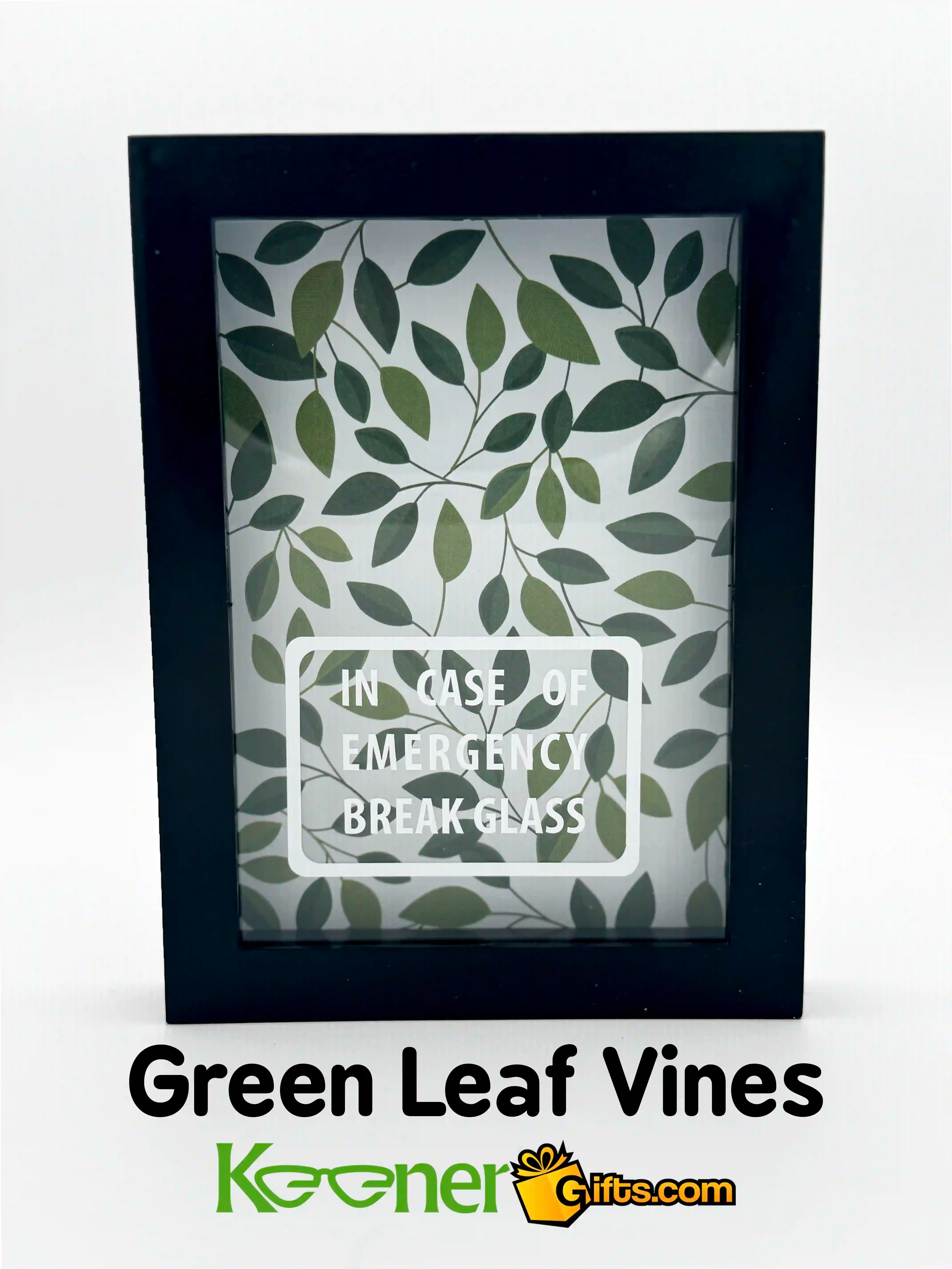 In Case of Emergency Break Glass Shadow Box Black Frame, Empty. Green Leaf Vines Background.